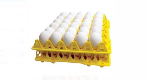 White Fresh Pure Eggs Oval Shape High In Protein And Enriched With Nutrients