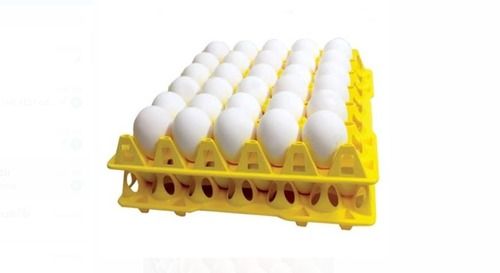  सफेद ताजे शुद्ध अंडे अंडाकार आकार में प्रोटीन से भरपूर और पोषक तत्वों से भरपूर 