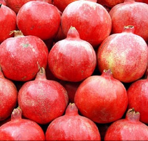 Good Quality Red Fresh Pomegranate For Vent Free Radicals From Damaging