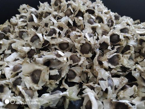 Hybrid Black Moringa Seeds With Wing For Food Grade, Packaging Size 10 Kg