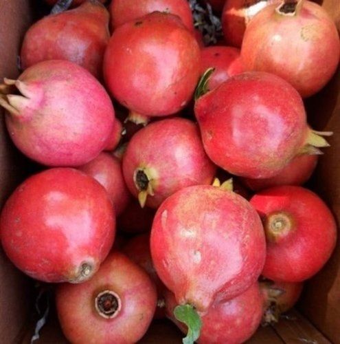 Common A-Grade Nutrient Enriched Healthy 100% Pure Natural Sweet Red Pomegranate