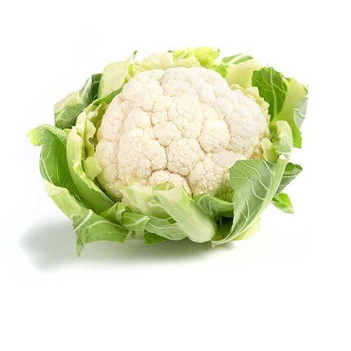 Fresh And Natural Low In Calories High In Fiber Vitamin C And Healthy Round Shape Cauliflower