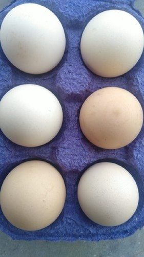 Fresh Eggs With Storage Tray, No Pesticides And Good Source Of Proteins Egg Origin: Chicken