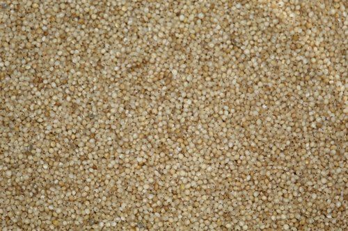 Indian Origin Naturally Vitamin Enriched Farm Fresh And Brown Healthy Little Millet