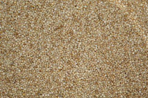 Low-Salt Vitamin Enriched Organic And Natural Brown And Healthy Little Millet For Cooking Use