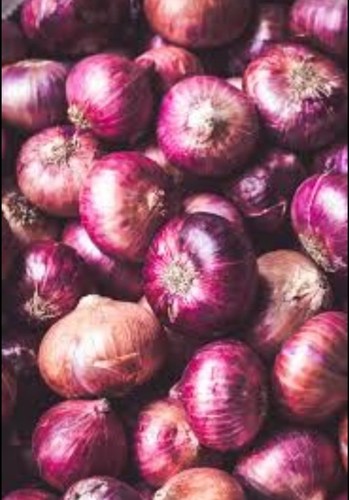 Pure Natural And Fresh Round Shape Nasik Fresh Red Onion For Cooking