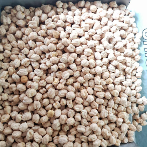 Pure Natural High In Protein Nutrient Whole White Dried Kabuli Chana