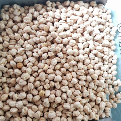 100% Pure And Natural Nutritent Enriched Whole White Dried Kabuli Chana Admixture (%): 13%