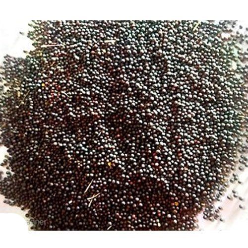 Black Fresh Pure And Natural No Added Preservatives Black Mustard Seeds