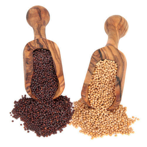 Indian Origin Natural Mustard Seed
