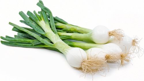 Indian Origin Naturally Grown Farm Fresh 100% Pure And Healthy Round Shape Green Onion 