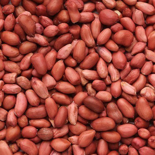 Brown Natural And Fresh Pure Organic Delicious Groundnut Seeds For Weight Loss