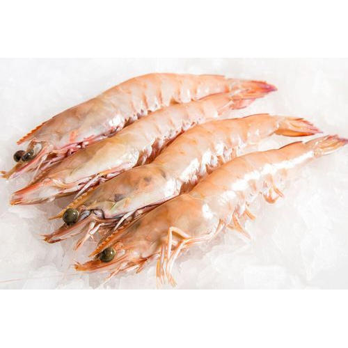 Prawn Fish