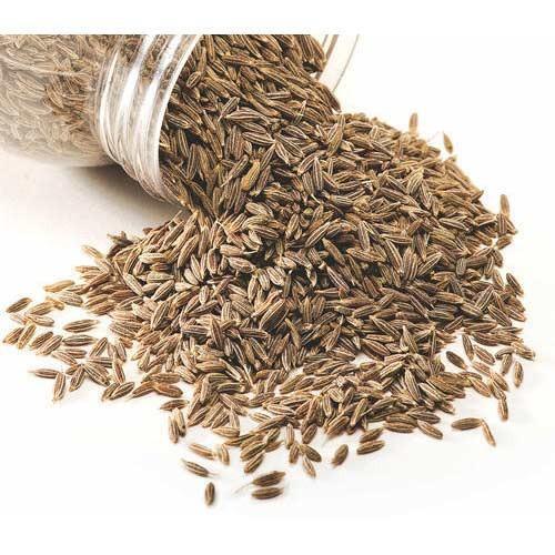 Brown Rich And Refined Well Polished Cumin Seeds