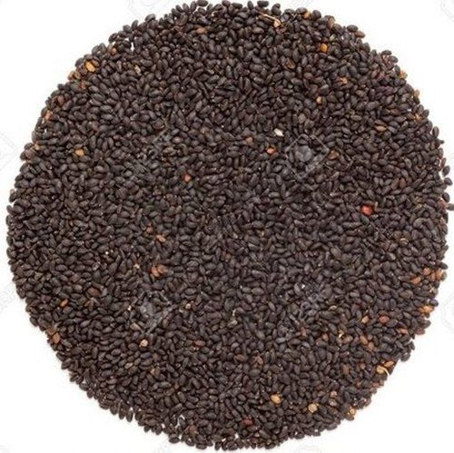 Basil Seeds In Patna Bihar At Best Price Basil Seeds