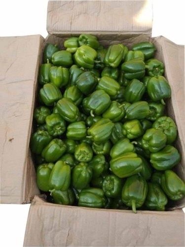 Naturally Grown Farm Fresh Green Capsicum, Beneficial For Vision Health And Prevents Anemia 