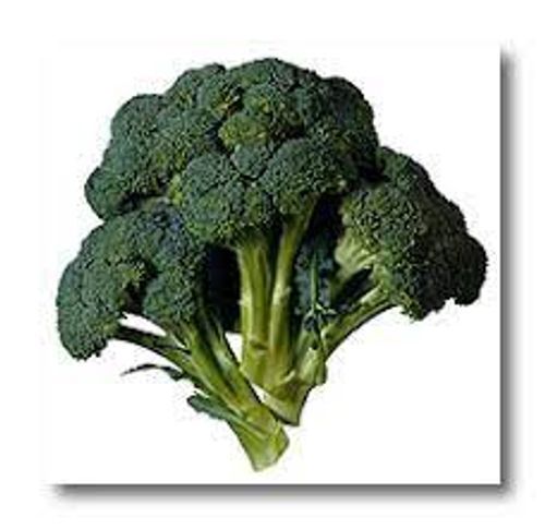 Green Broccoli