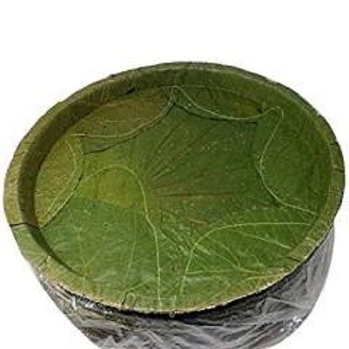 Environmentally Friendly And Stylish Green Disposable Round Leaf Plates For Party Event  Size: 10 Inch