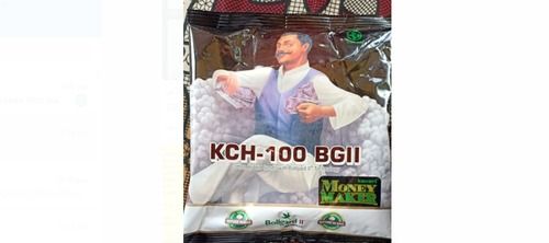 Excellent Quality Money Maker Kch-100 Bgii Cotton Hybrid Seeds With Bollgard