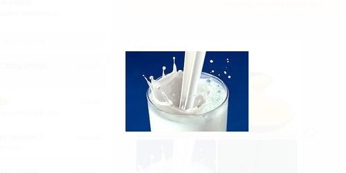 Good Source Of Calcium Natural Fresh Rich Taste Healthy White Pure Cow Milk