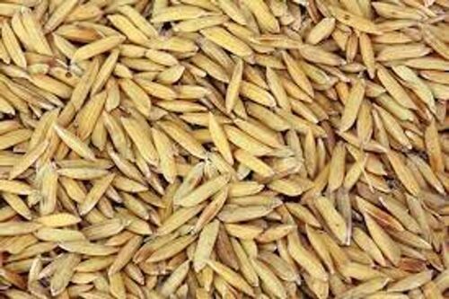 100 Percent Pure And Organic Long Grain Paddy Rice For Farming And Agriculture