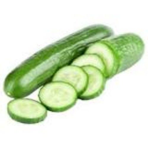 Indian Farms Freshly Harvested Locally Grown Cucumber/Kheera [Pallavi] Shelf Life: 10 Days