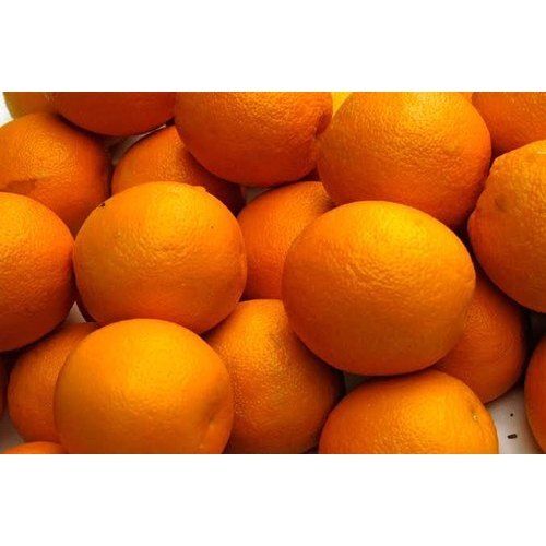 Round Shape Indian Origin Non Peeled Medium Size Sour Tasty Orange