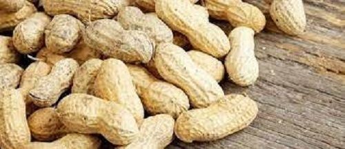 Enriched With Vitamins And Proteins Raw Dried Peanut For Tea Time Snacks