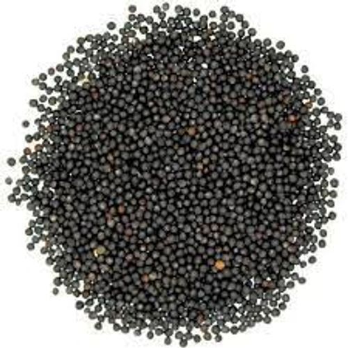 High In Protein Black Mustard Seeds Packaging: Bag