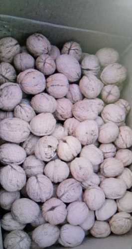 High Vitamin And Mineral Rich Whole Dried Kashmiri Walnuts Inshell