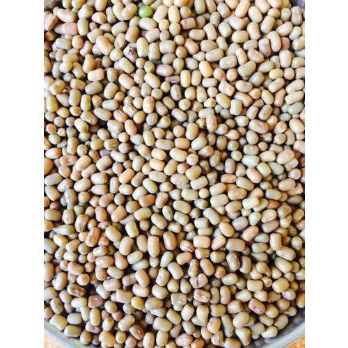 Healthy Rich Source Of Essential Vitamins Aromatic Tasty And Hygienically Packed Moth Dal Broken (%): 1