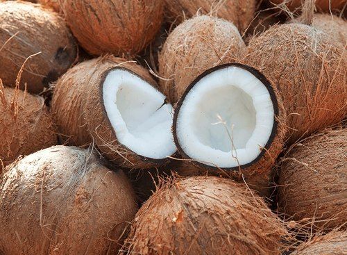 Round Shape Semi Husked Medium Size Brown Dried Matured Coconut