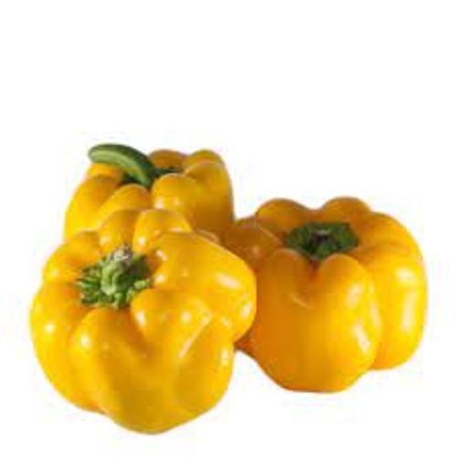 Excellent Source Of Nutrition Fresh Naturally Grown Healthy Yellow Capsicum