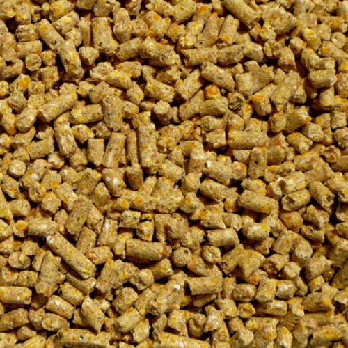 100 % Fresh And Pure Goat Healthy Cattle Feed Pellets, With Good Nutrients Application: Fodders