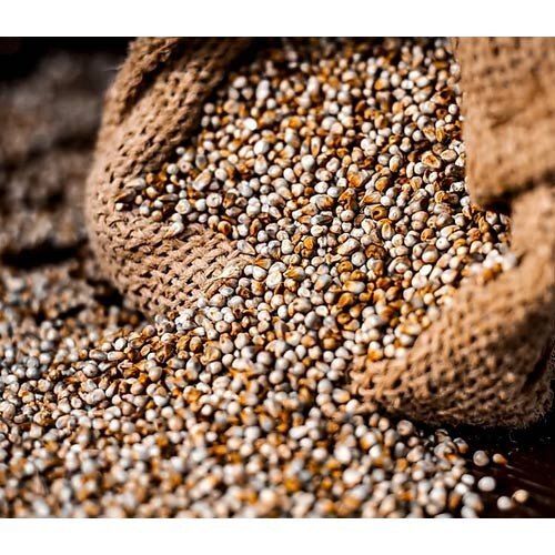 Unpolished Organic Whole Grain Pearl Millet (Bajra)