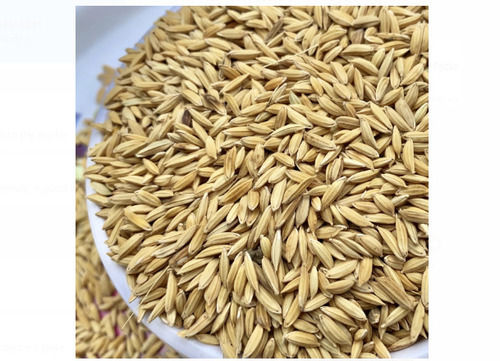 1 Kg 100% Pure Natural And Organic Brown Paddy Seed For Used In Agriculture