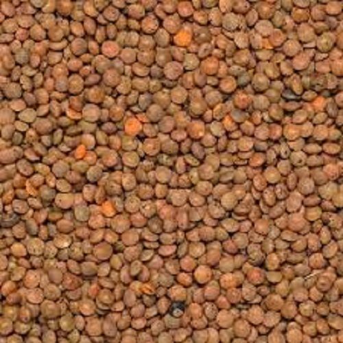 100 Percent Pure And Fresh High Rich Protein Carbohydrates Fiber Nutritious Masoor Dal