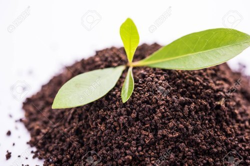 सुगंधित और स्वादिष्ट स्वाद वाला एंटीऑक्सीडेंट से भरपूर आयुर्वेदिक प्राकृतिक चाय पाउडर ग्रेड: A