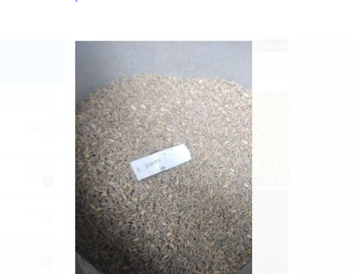 Fresh And Natural Navara Paddy Seed Used For Rice Residue As Fodder Admixture (%): 1%