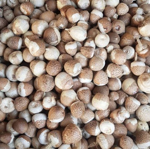 Common Hard Structure Natural Dried Brown Betal Nuts For Worship Use