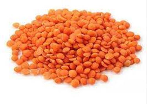 Highly Rich And Premium Quality Masoor Dal Xen Afridi 