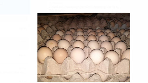 Poultry Eggs Egg Origin: Chicken