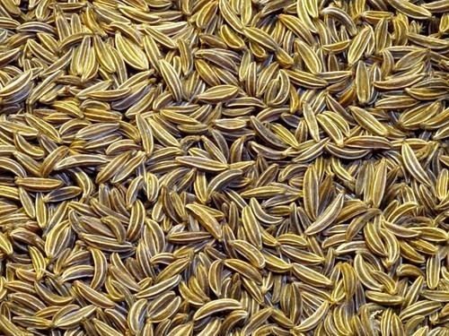 Aromatic Healthy Natural Rich Taste Chemical Free Dried Organic Brown Cumin Seed 