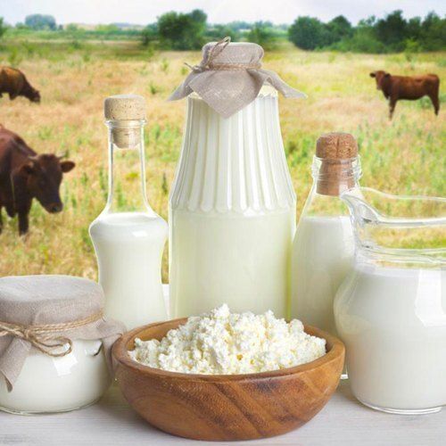 Tasty Rich In Calcium Proteins Natural Hygienically Nutritious Good In Taste Packed Cow Milk