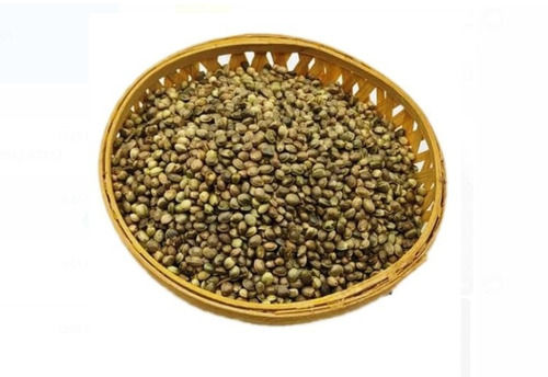 1 Kilogram Fresh And Pure 99% Pure Green Hempp Seed  Admixture (%): 1%