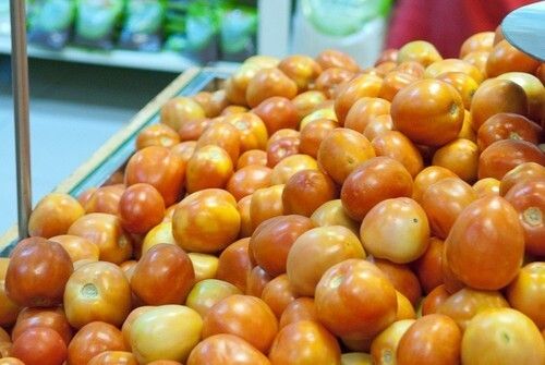 100 Percent Fresh And Natural Local Indian Red Tomatoes