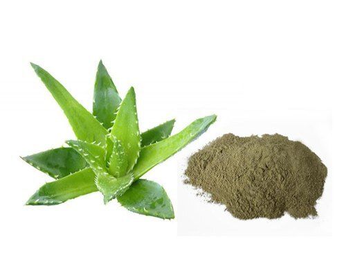 A Grade Cool And Dry Place Skin Shining Aloe Vera Powder