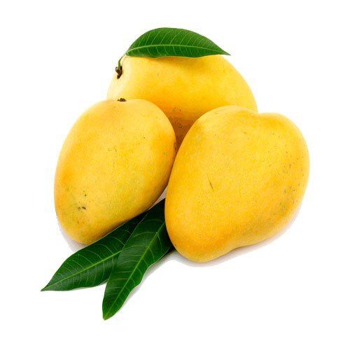 Healthy Farm Fresh Indian Origin Naturally Grown Oval Shape Yellow Rich In Vitamin C Tasty Mango