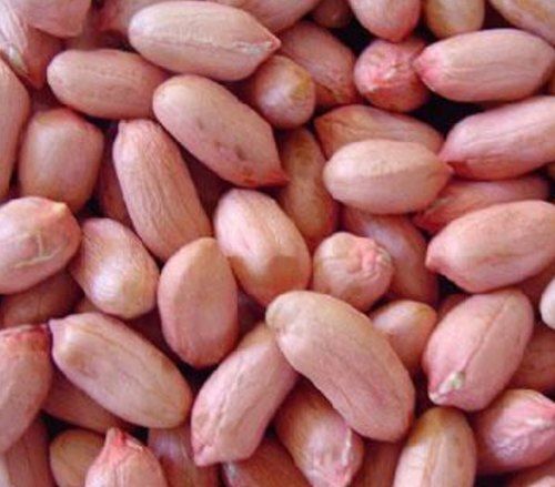 Indian Origin Commonly Cultivated Healthy Light Pink Groundnut