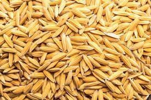 Long Grain Natural Paddy Rice